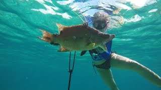 I Ate The Pistol Spearfishing And Free Diving For Conch West End, Bahamas