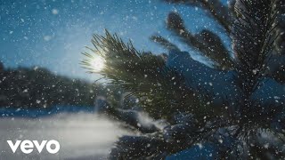The Nutcracker Op 71 No 9 Waltz Of The Snowflakes Audio The Nutcracker Op 71 No 9 Waltz Of The Snowflakes Audio