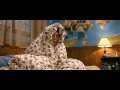 Quynhoncity Who Slept With Her Chunk 6 images Quynhoncity Who Slept With Her Chunk 6