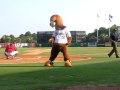 Charleston riverdogs