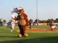 Charleston riverdogs