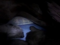 Perra amamantando gato cachorro - Dog breastfeeding cat puppy