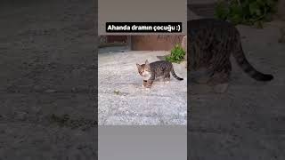 Dramın Çocuğu Bakın Yine Ne Yaparken Yakaladım