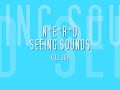 NERD - KILL JOY - SEEING SOUNDS