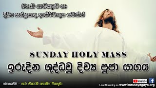 Sunday Holy Mass 15/11/2020