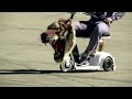 Dc Shoes Present Gymkhana 2 1 Ken Block Vs Dyrdek images Dc Shoes Present Gymkhana 2 1 Ken Block Vs Dyrdek