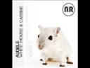 Audible - White Mouse (Original Mix)