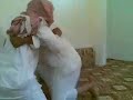 كرم المطوع