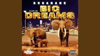 Small City Big Dreams