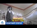 My Name Is Billa Video Song Whatsapp Status | Billa Tamil Movie Songs | Rajinikanth | Sripriya | MSV