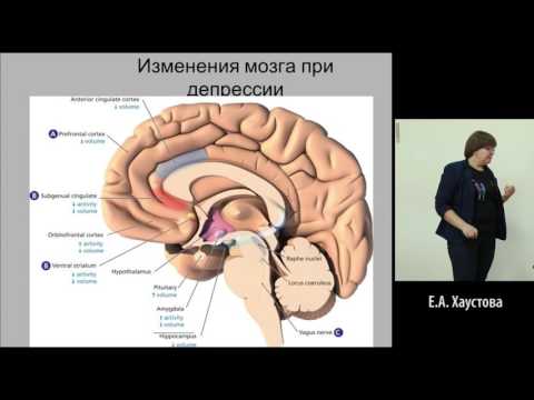 Мастер класс по неврологии Мастер класс по неврологии