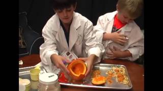 Big Time Science | WCTV 14
