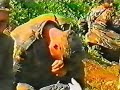 UQK 1999