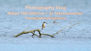 Nikon 180-600Mm 2X Teleconverter Photographing Kingfishers