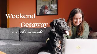 weekend getaway | woods, silence & lots of dogs