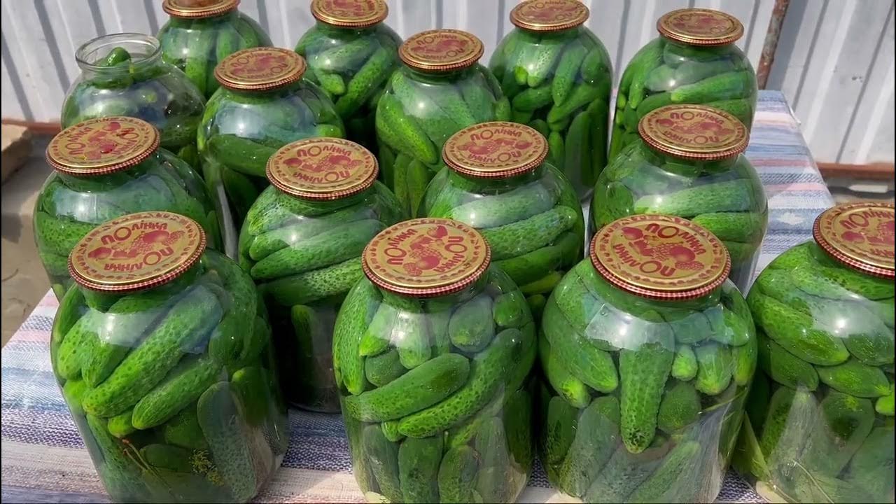 Огурцы на зиму хрустящие в банках