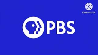 Nsfintelcpbpbswnet Thirteenluk Internacional S.a.