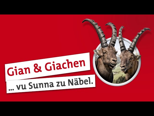 Watch Gian und Giachen: Hey Bleichländer! on YouTube.