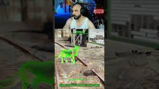 There Might Be An Issue With Radscorpions In Fallout 4...