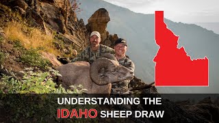 What You Need To Understand About Idaho Bighorn Sheep Draw Odds | Mastering the Draw