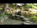 Koishikawa Korakuen - Japanese Garden, Tokyo ● 小石川後楽園 東京