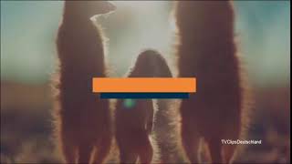 Welt Ident12018