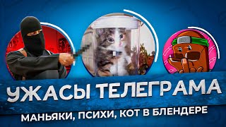 Ужасы Телеграма - Кот В Блендере, Маньяки И Психи