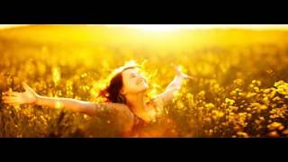 Watch KC & The Sunshine Band I Betcha Didn