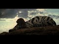 2001 A Space Odyssey Full Movie Pink Floyd images 2001 A Space Odyssey Full Movie Pink Floyd