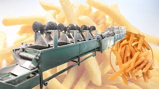 2020 Industrial Frozen French Fries Processing Plant 500Kgh French Fries Production Line