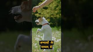 Dognition Understanding Dogs Minds And Bonds