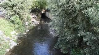 Sound Of A Stream - Somme River In France Son Dun Ruisseau - Fleuve De La Somme En France - Asmr
