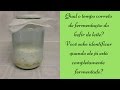 Qual o tempo correto de fermentação do kefir de leite