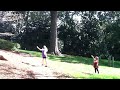Falling Leaves From Big Tree