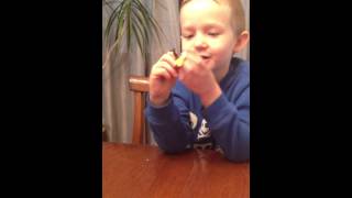 Angry Birds Star Wars Millenium Falcon Clay Model By Ollytubehd