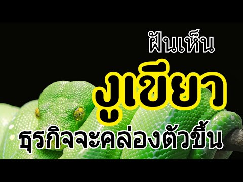 ทำนายฝัน ฝันเห็นงูเขียว ทำนายฝันเห็นงูเขียวแม่นๆ(พร้อมเลขเด็ด)