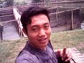 image Budidaya Ikan Patin Keramba Jaring Tancap Dedi H