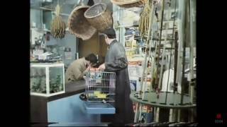 Watch Monty Python Pet Shop video