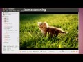 Shotwell 0.7 - Ubuntu Maverick Movies