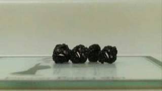 Annoying Orange Death-Knife Attack-Blackberries