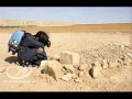 Lotfi el Wergimmi