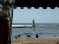 Title:I Love Turtle Bay Resort Description: