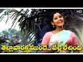 Tella Varaka Munde Palle Lechindi||Mutyala pallaki (1976)||Jayasudha||Satyam||