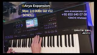 2 4 Dudu Giz V12