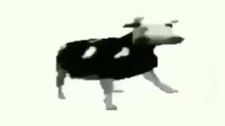 Мем | Корова Танцует Под Польский Рэп. Оригинал Мема