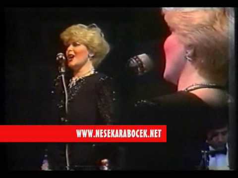 NEŞE KARABÖCEK - SENİ ÖZLEDİM (1986)