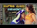 Bangadi Meenu Balukidaga Video Song from Ravichandran's Kannada Movie Pandu Ranga Vittala
