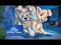 Lady and the Tramp II: Scamp's Adventure - Disneycember