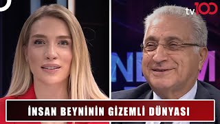 Beyin Nasıl Bir Sistemle Çalışıyor? Cansu Canan Özgen Ile Gündem Dışı