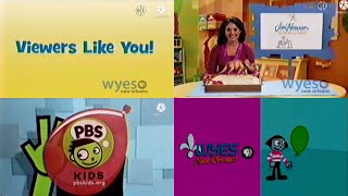 Pbs Kids Program Break Wyes-Dt1 2011